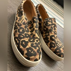 Steve Madden Size 10 Animal Print